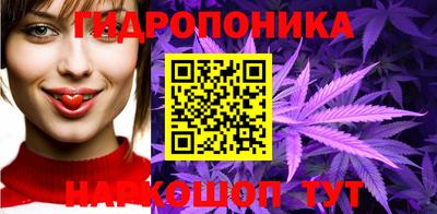 ECSTASY Пенза