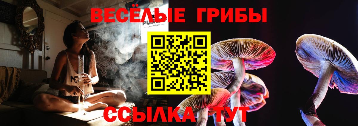 Псилоцибиновые грибы Psilocybine cubensis  Вход с VPN  Галлюциногенные грибы прущие грибы  Самара 